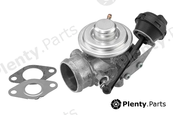 BorgWarner (Wahler) 7301D — EGR Valve BW Original