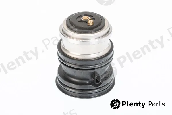 BorgWarner (Wahler) 410448.107D — Thermostat, coolant