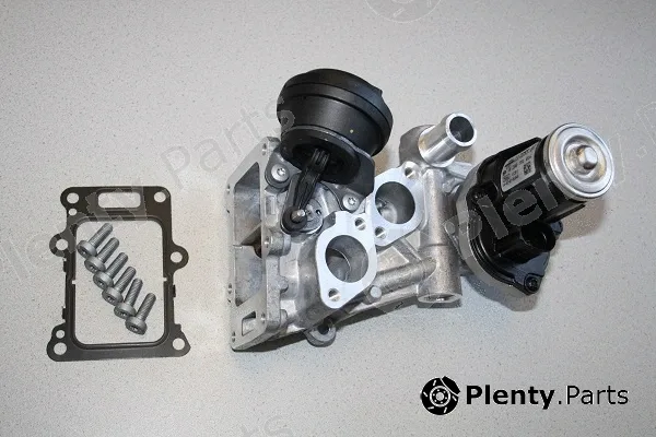 BorgWarner (Wahler) 710986D1 — EGR Valve
