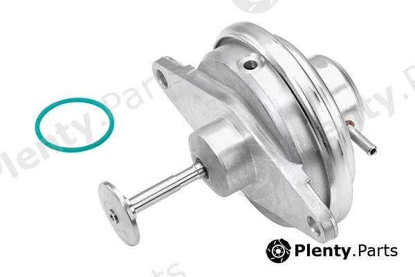 BorgWarner (Wahler) 7188D — EGR Valve