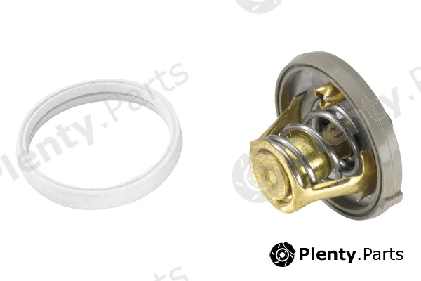 BorgWarner (Wahler) 410262.91D — Thermostat, coolant