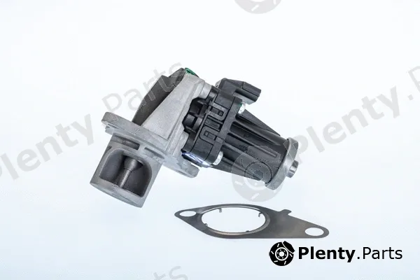 BorgWarner (Wahler) 710978R — EGR Valve