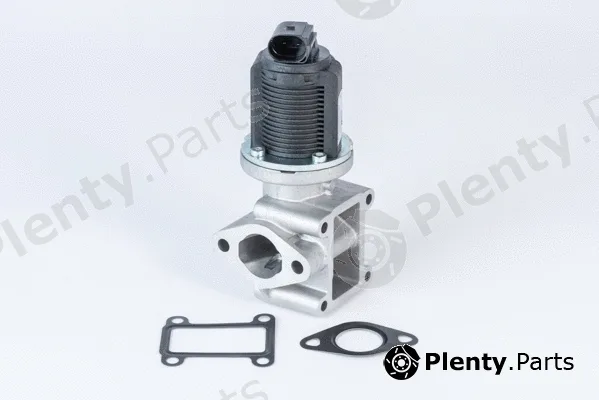 BorgWarner (Wahler) 710837D — EGR Valve
