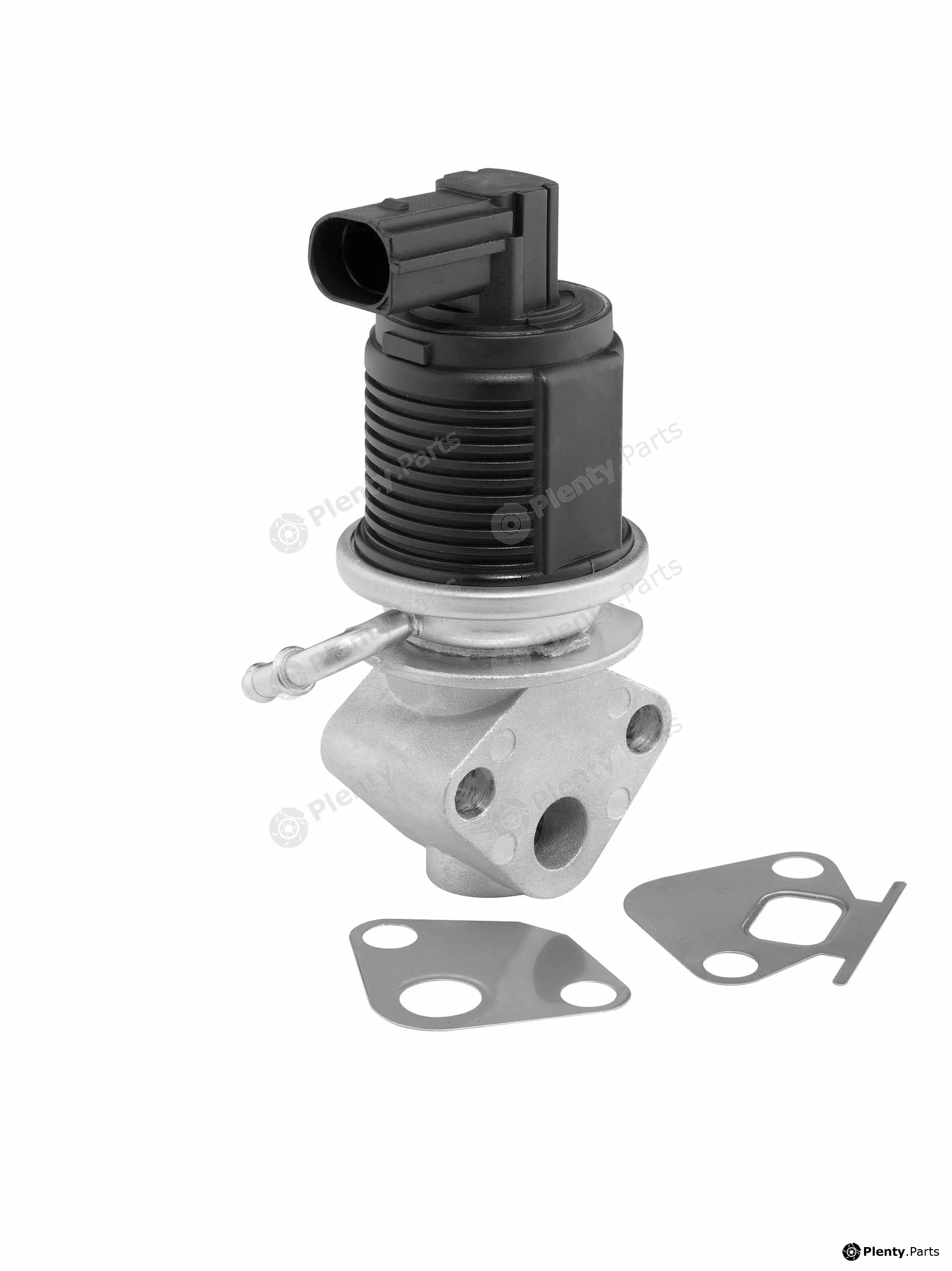 BorgWarner (Wahler) 712055D/1 — EGR Valve