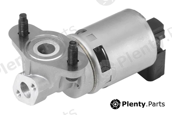 BorgWarner (Wahler) 710633D — EGR Valve