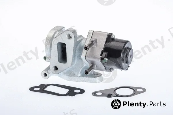 BorgWarner (Wahler) 710972R — EGR Valve