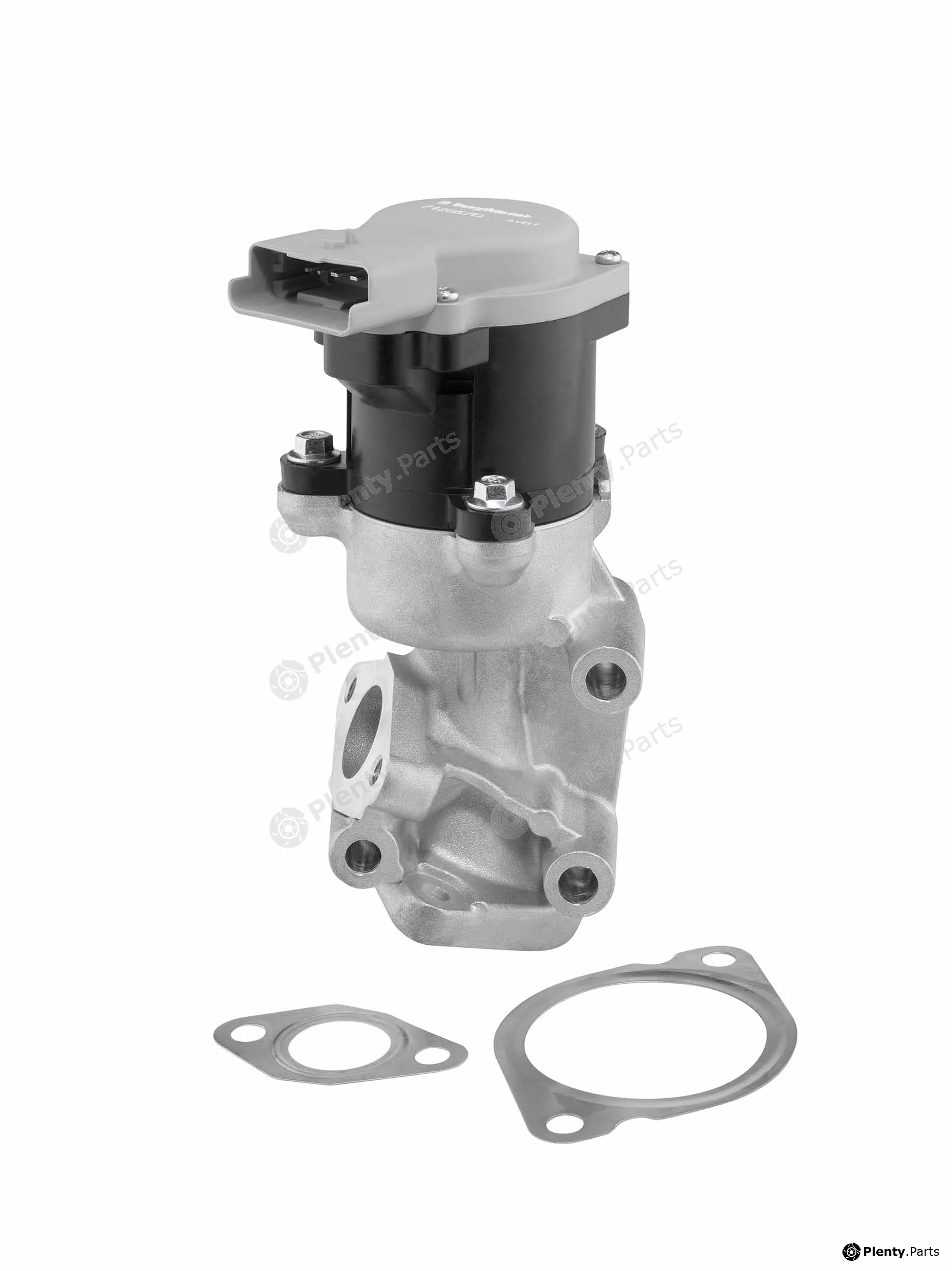 BorgWarner (Wahler) 712057D/1 — EGR Valve