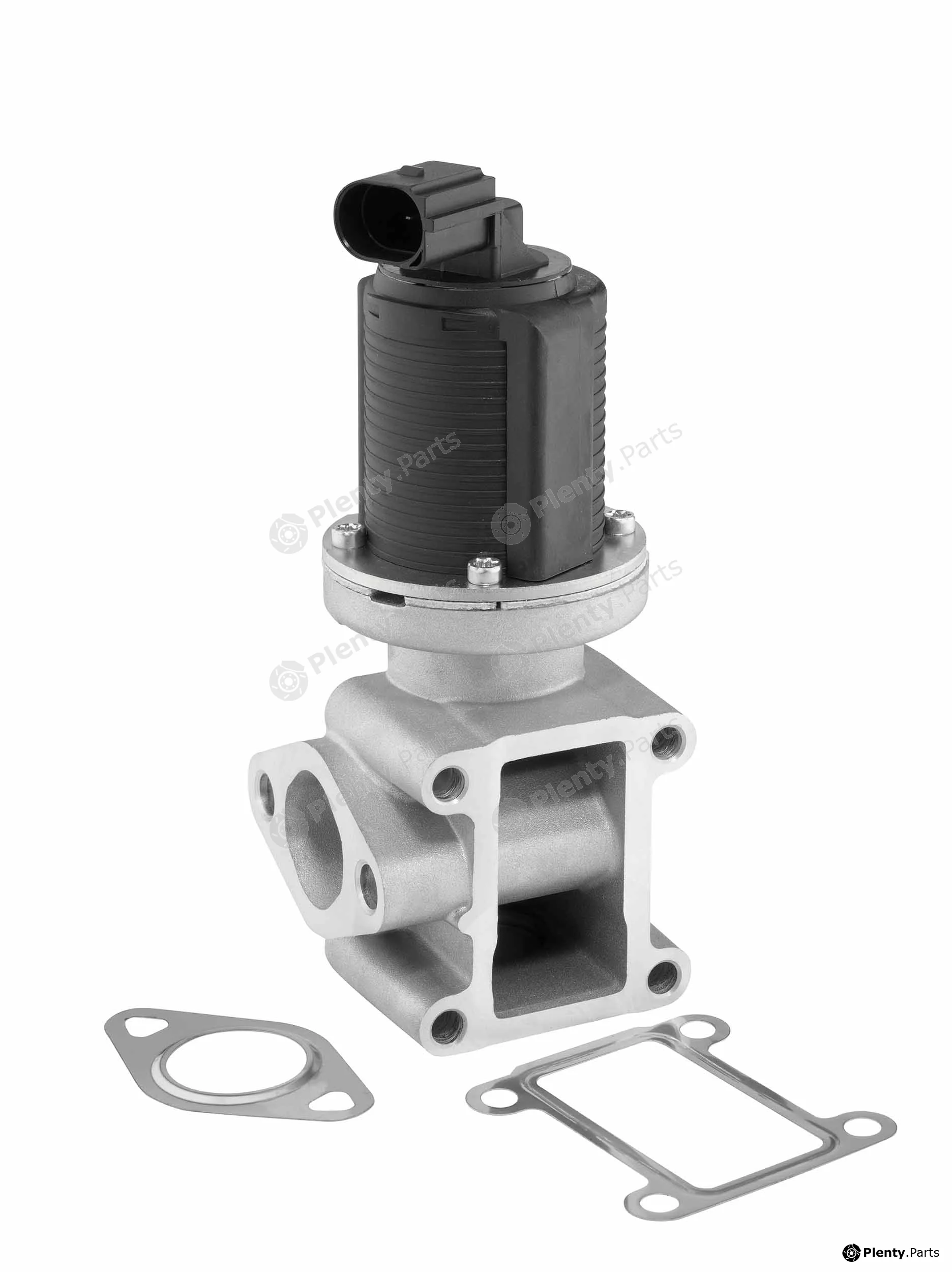 BorgWarner (Wahler) 710837D/1 — EGR Valve