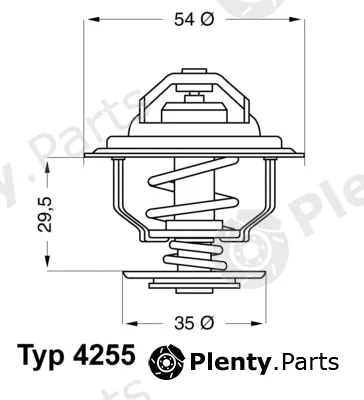 BorgWarner (Wahler) 4255.92D — Thermostat, coolant
