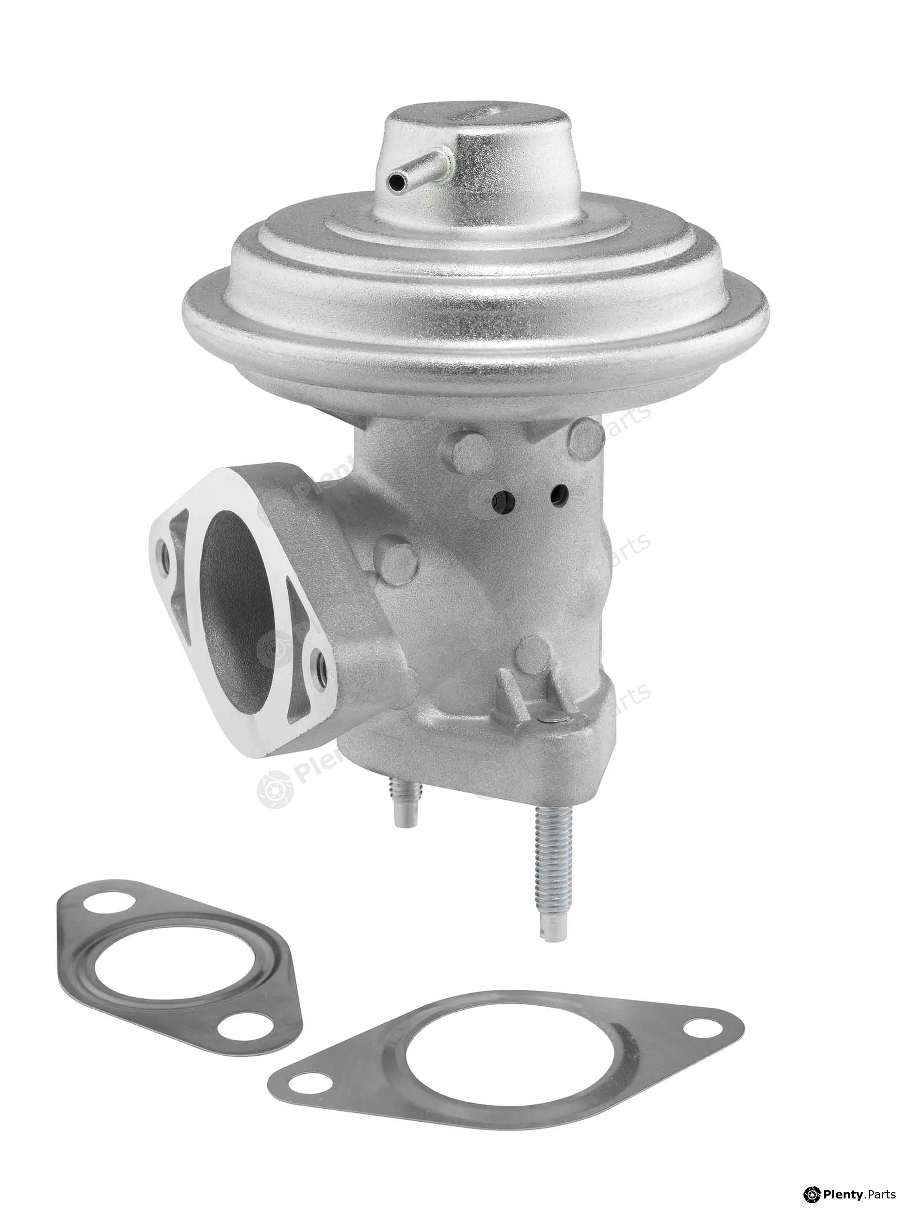 BorgWarner (Wahler) 712065D/1 — EGR Valve