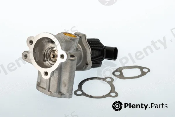 BorgWarner (Wahler) 710773D — EGR Valve BW Original