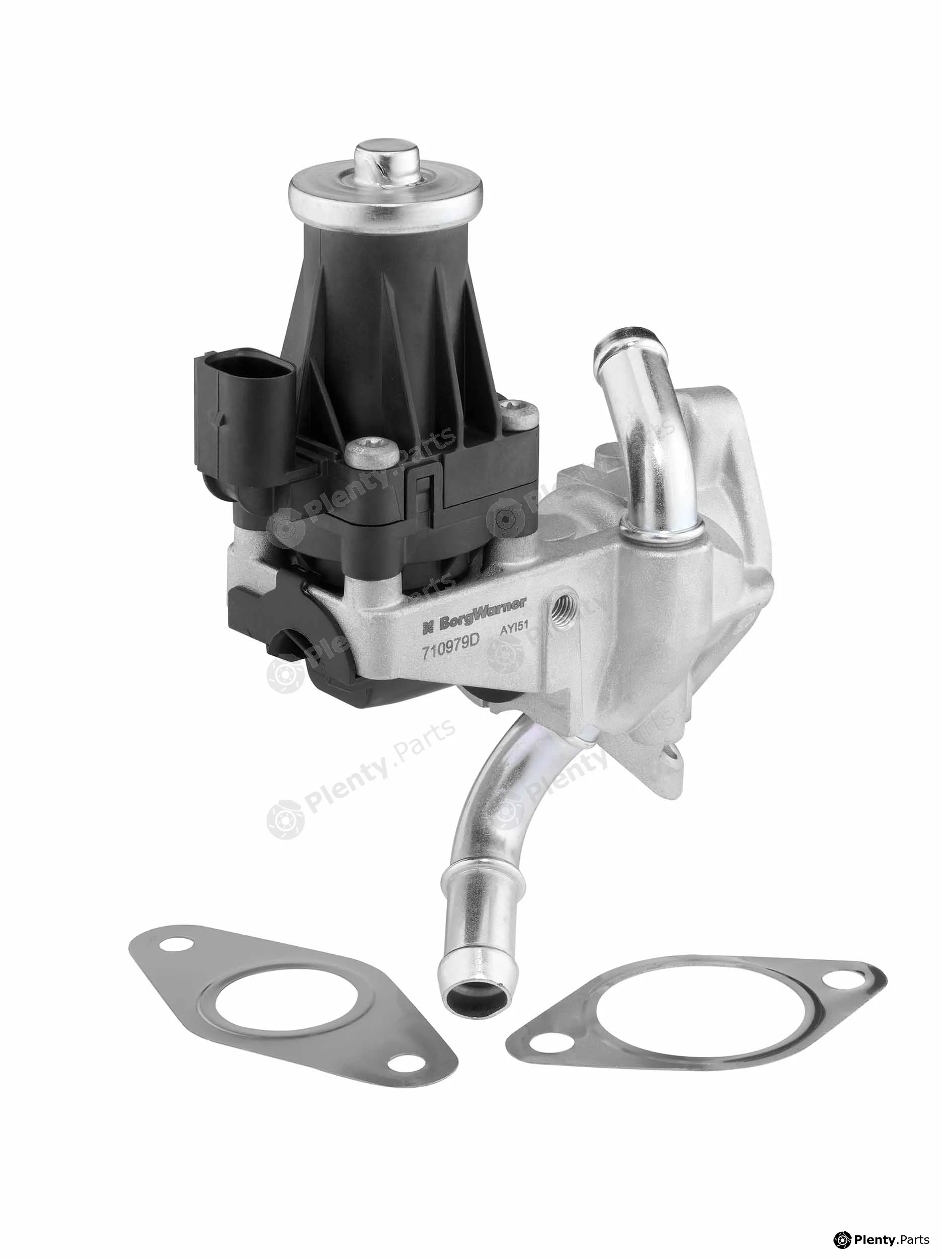 BorgWarner (Wahler) 710979D — EGR Valve