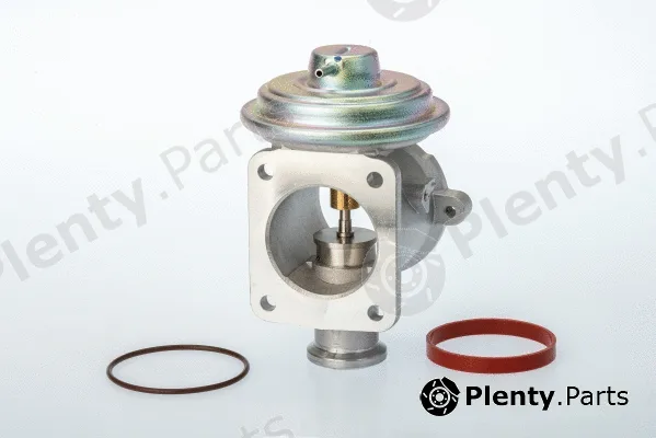 BorgWarner (Wahler) 710924D — EGR Valve