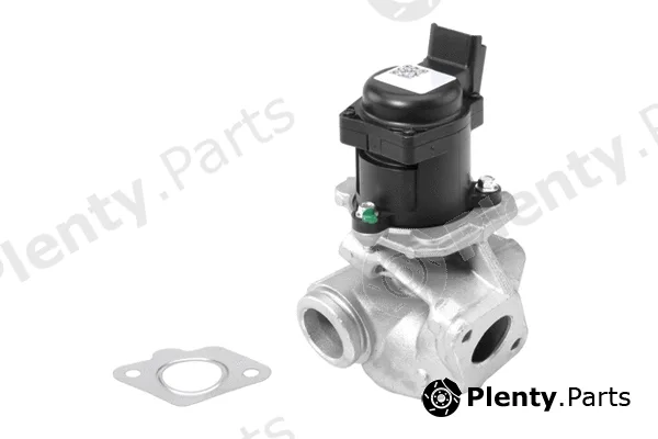 BorgWarner (Wahler) 710927R — EGR Valve