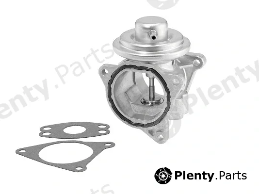 BorgWarner (Wahler) 7496D — EGR Valve