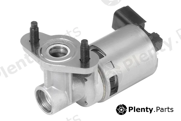 BorgWarner (Wahler) 710635D — EGR Valve