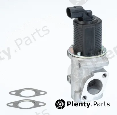 BorgWarner (Wahler) 710772D — EGR Valve