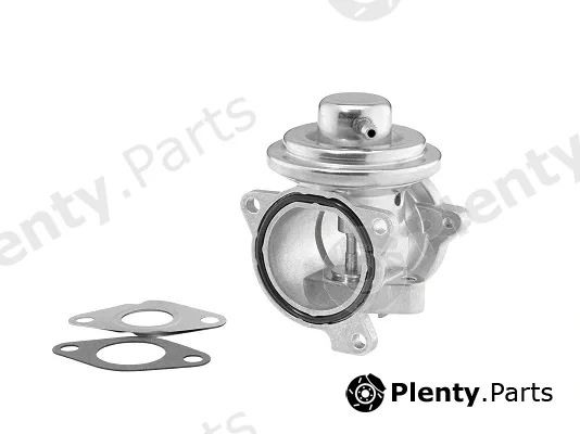 BorgWarner (Wahler) 7271D — EGR Valve