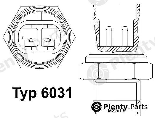 BorgWarner (Wahler) 6031.100D — Temperature Switch, radiator fan
