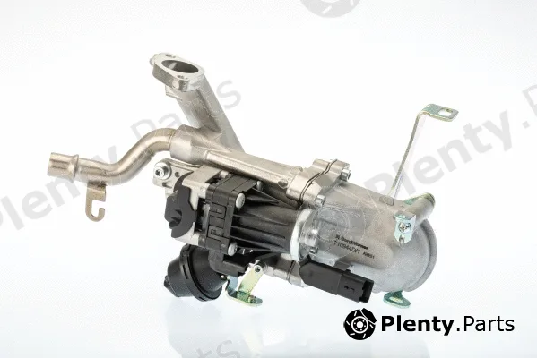 BorgWarner (Wahler) 710944D — EGR Valve