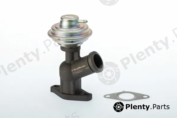 BorgWarner (Wahler) 710922D — EGR Valve