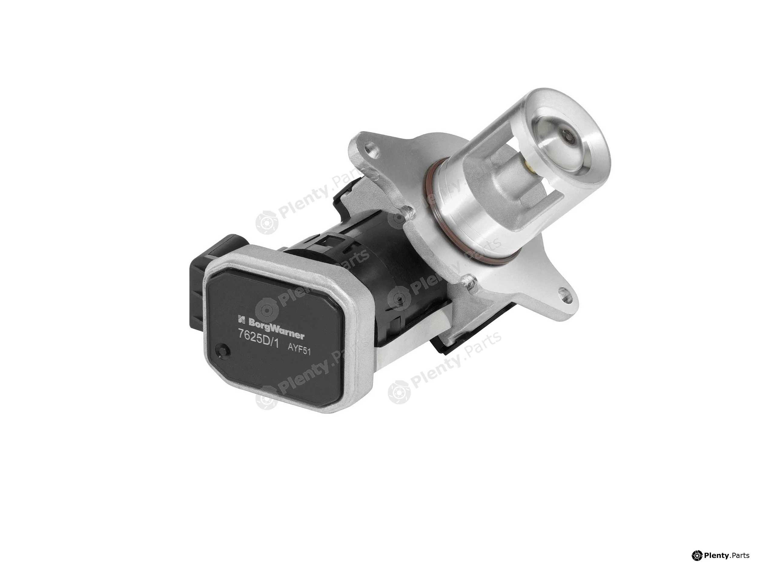 BorgWarner (Wahler) 7625D/1 — EGR Valve