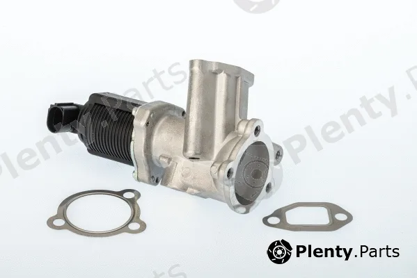 BorgWarner (Wahler) 710949D — EGR Valve