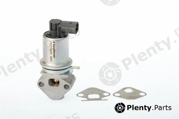 BorgWarner (Wahler) 710778D — EGR Valve