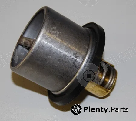 BorgWarner (Wahler) 4619.80 — Thermostat, coolant