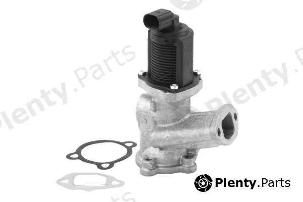 BorgWarner (Wahler) 710958R — EGR Valve
