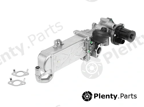 BorgWarner (Wahler) 710861R — EGR Module