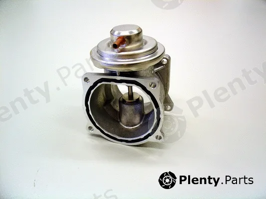 BorgWarner (Wahler) 7268D — EGR Valve