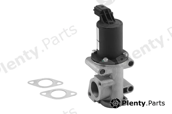 BorgWarner (Wahler) 710960R — EGR Valve