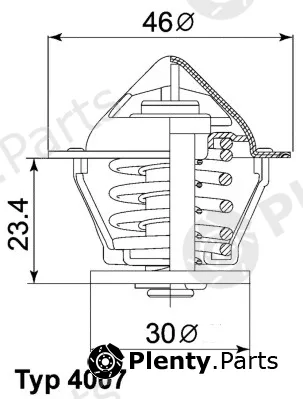 BorgWarner (Wahler) 4007.80D — Thermostat, coolant