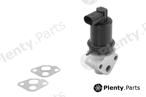 BorgWarner (Wahler) 710778D0 — EGR Valve