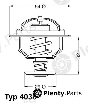 BorgWarner (Wahler) 4038.76D — Thermostat, coolant