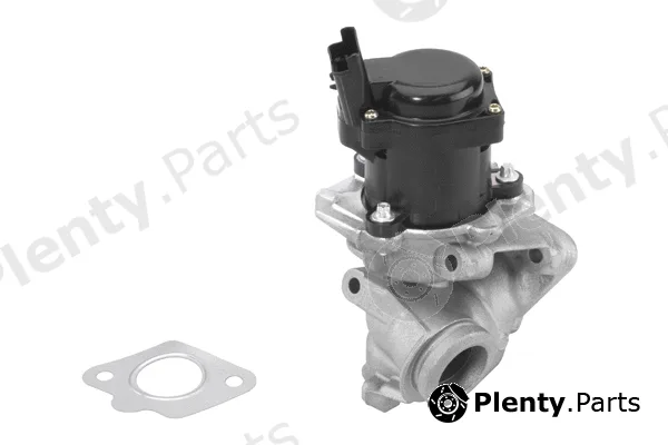 BorgWarner (Wahler) 710929R — EGR Valve