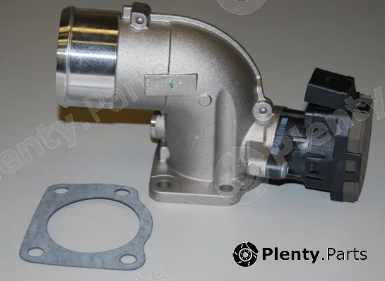 BorgWarner (Wahler) 7523D — EGR Module