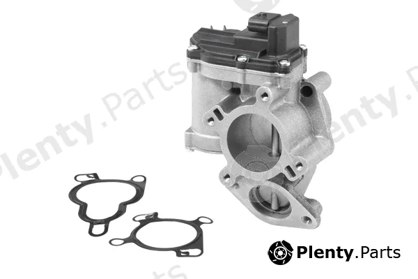 BorgWarner (Wahler) 710945R — EGR Valve
