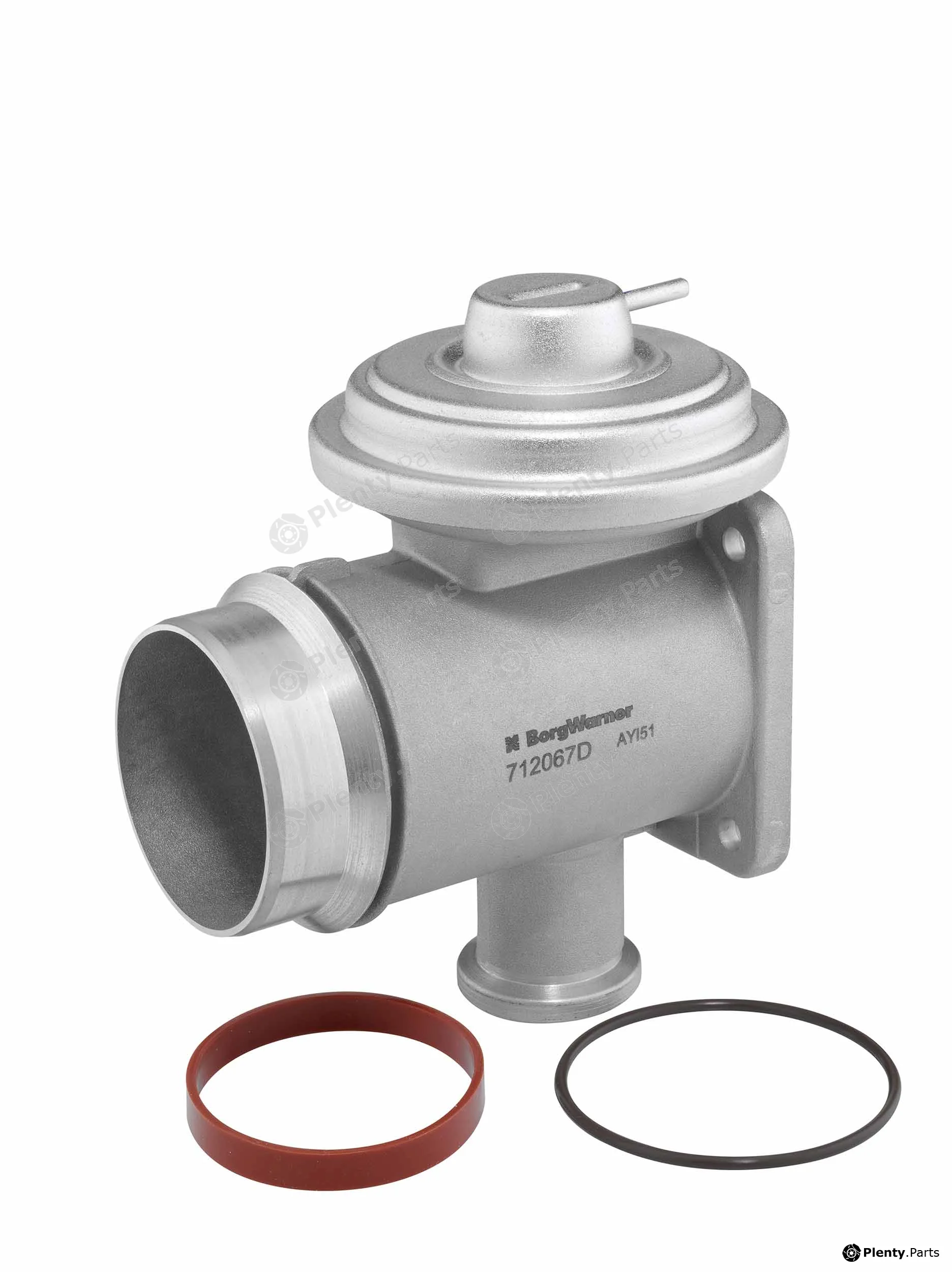 BorgWarner (Wahler) 712067D/1 — EGR Valve