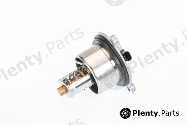 BorgWarner (Wahler) 411076.104D — Thermostat, coolant