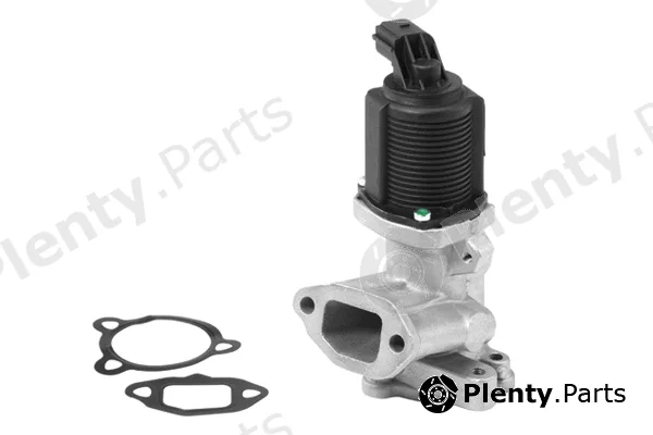 BorgWarner (Wahler) 710949R — EGR Valve
