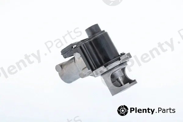 BorgWarner (Wahler) 710977R — EGR Valve