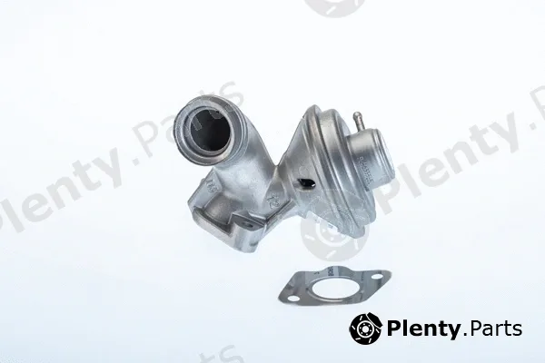 BorgWarner (Wahler) 710973R — EGR Valve
