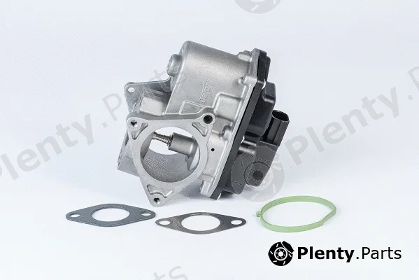 BorgWarner (Wahler) 711080R — EGR Valve