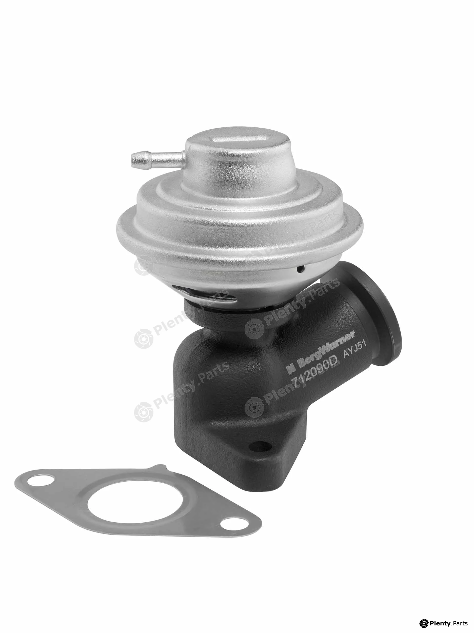 BorgWarner (Wahler) 712090D — EGR Valve
