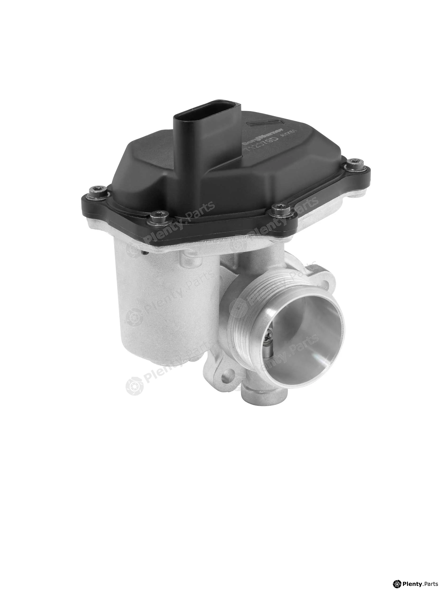 BorgWarner (Wahler) 712079D — EGR Valve