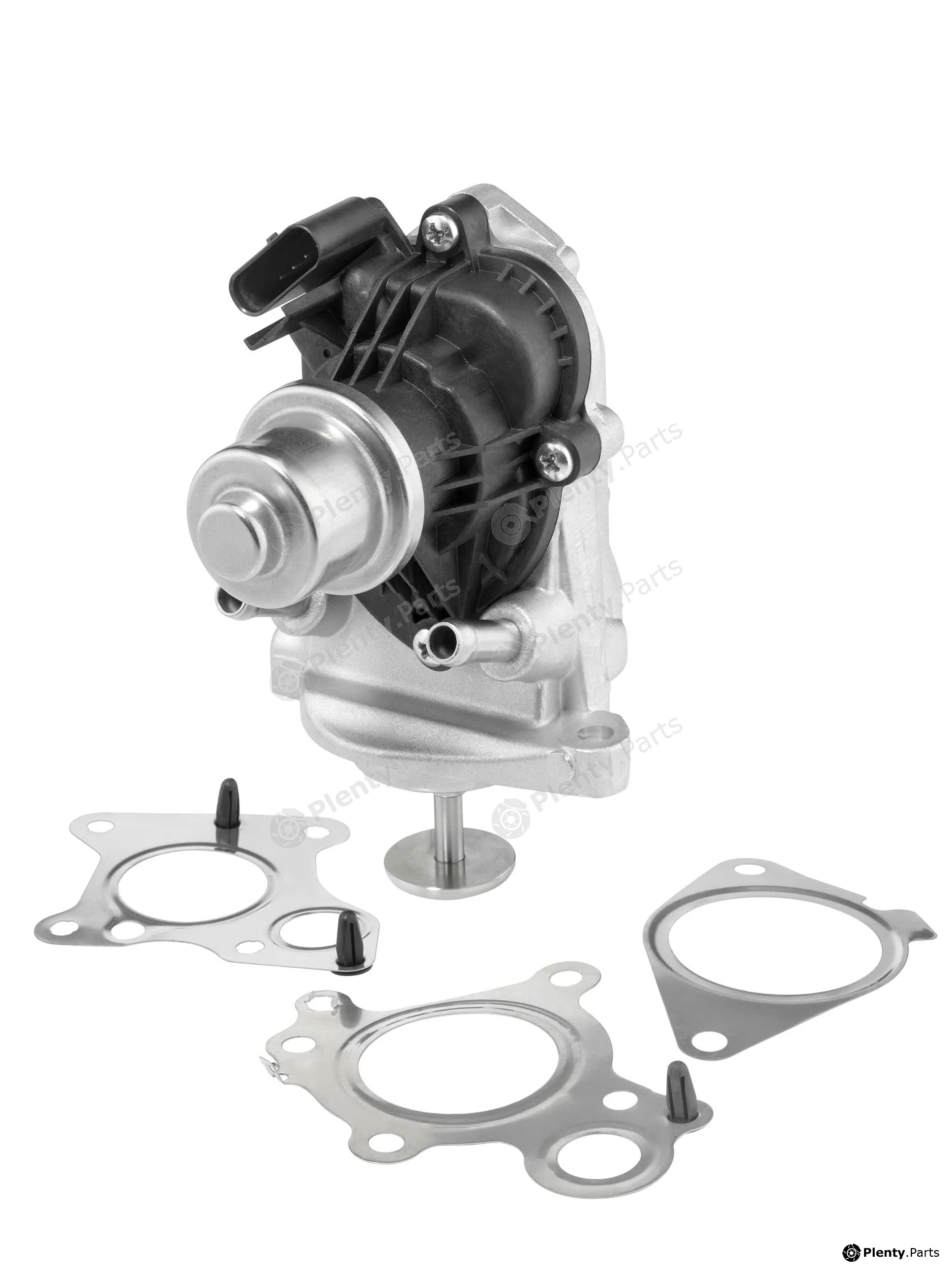 BorgWarner (Wahler) 710980D — EGR Valve