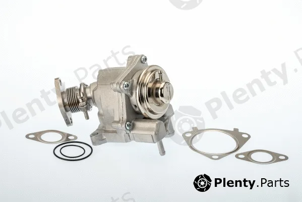 BorgWarner (Wahler) 7631D — EGR Valve
