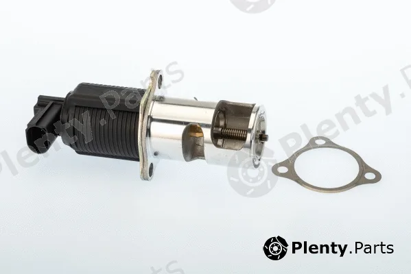 BorgWarner (Wahler) 710950D — EGR Valve